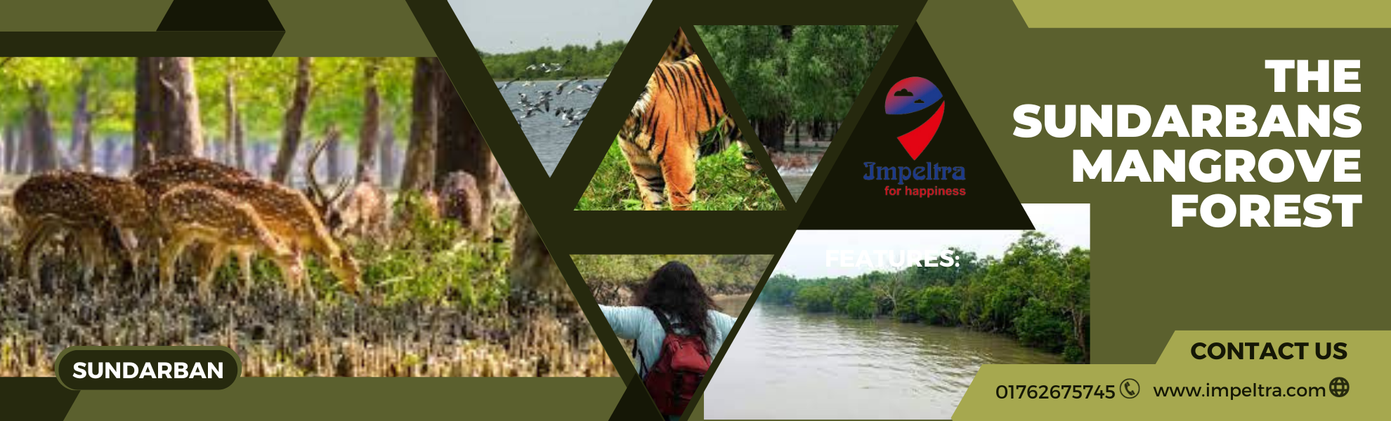 Sundarban Luxury Tour